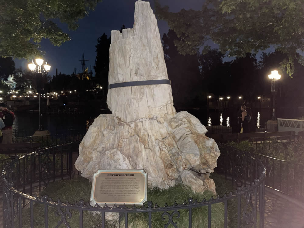 Disneyland's Petrified Tree